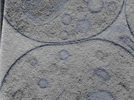 key visualization for 24oct15b_Position_7