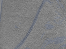 key visualization for 24nov01d_Position_1