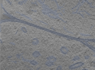 key visualization for 24nov01d_Position_10