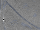 key visualization for 24nov01d_Position_101