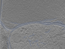 key visualization for 24nov01d_Position_102