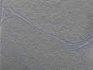 key visualization for 24nov01d_Position_107