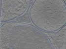 key visualization for 24nov01d_Position_108