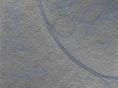 key visualization for 24nov01d_Position_109