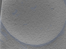 key visualization for 24nov01d_Position_11