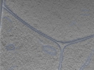 key visualization for 24nov01d_Position_111