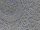 key visualization for 24nov01d_Position_115