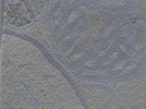 key visualization for 24nov01d_Position_12