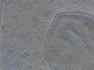 key visualization for 24nov01d_Position_125