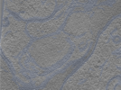 key visualization for 24nov01d_Position_12_2