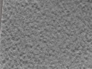 key visualization for 24nov27a_Position_1