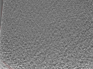 key visualization for 24nov27a_Position_10