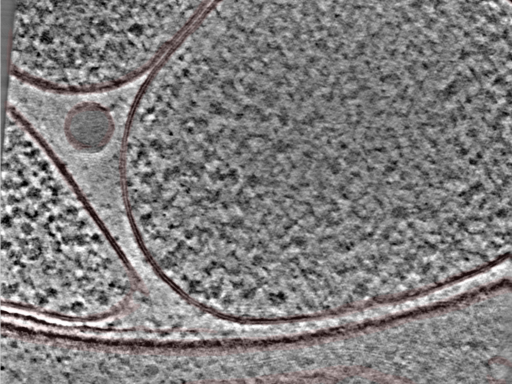 key visualization for 24nov27a_Position_103