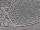 key visualization for 24nov27a_Position_103