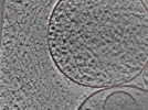 key visualization for 24nov27a_Position_105