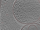 key visualization for 24nov27a_Position_105