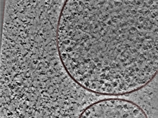 key visualization for 24nov27a_Position_106