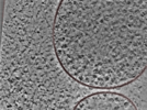 key visualization for 24nov27a_Position_106