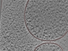 key visualization for 24nov27a_Position_106