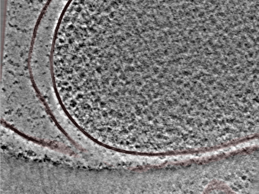 key visualization for 24nov27a_Position_107