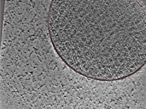 key visualization for 24nov27a_Position_108