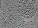 key visualization for 24nov27a_Position_109