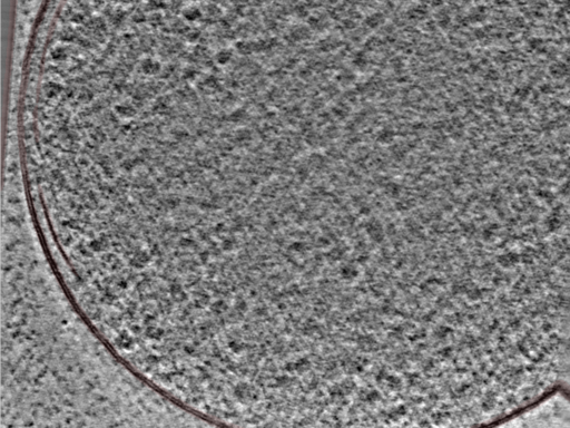 key visualization for 24nov27a_Position_110