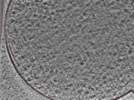 key visualization for 24nov27a_Position_110