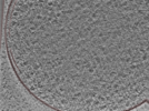 key visualization for 24nov27a_Position_110