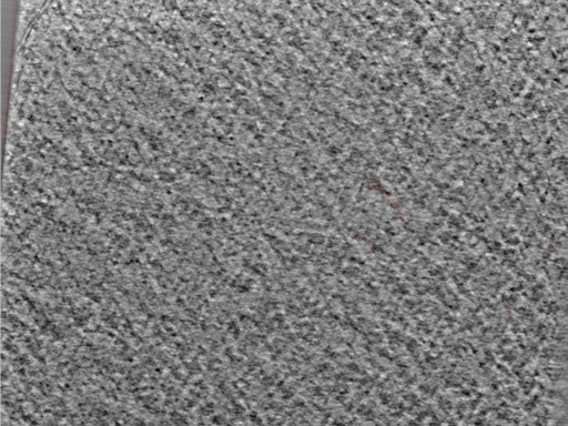 key visualization for 24nov27a_Position_13