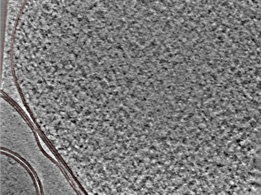 key visualization for 24nov27a_Position_17