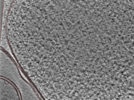 key visualization for 24nov27a_Position_17
