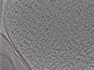 key visualization for 24nov27a_Position_17