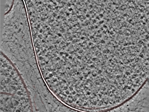 key visualization for 24nov27a_Position_86