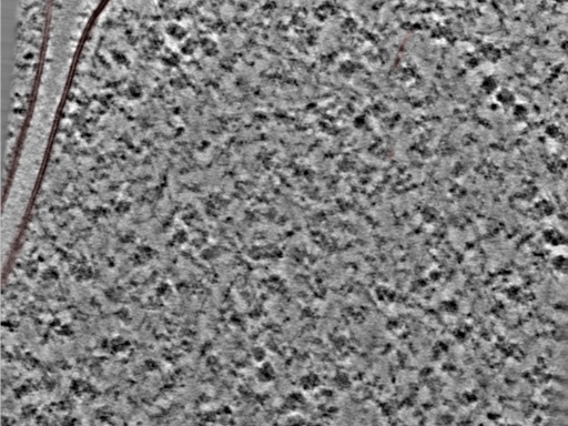 key visualization for 24nov27a_Position_87
