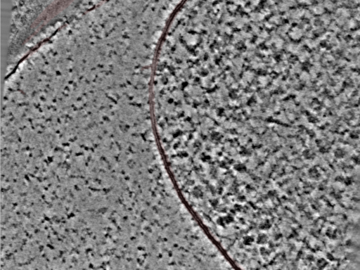 key visualization for 24nov27a_Position_89