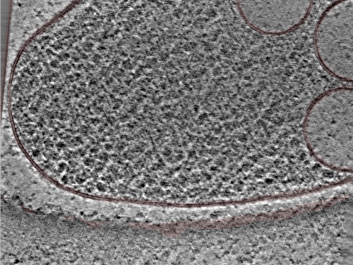 key visualization for 24nov27a_Position_9