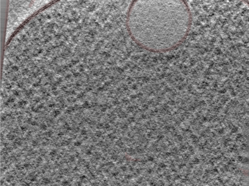 key visualization for 24nov27a_Position_92