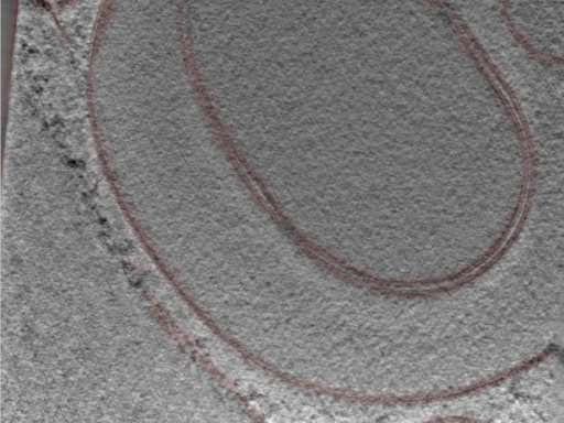 key visualization for 24nov27a_Position_93