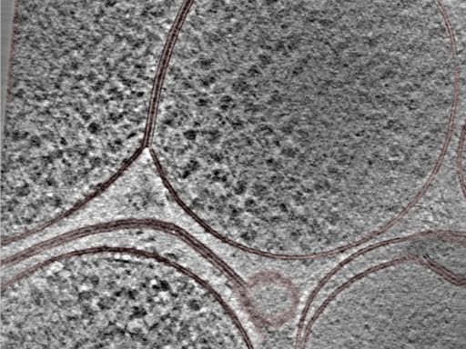 key visualization for 24nov27a_Position_95