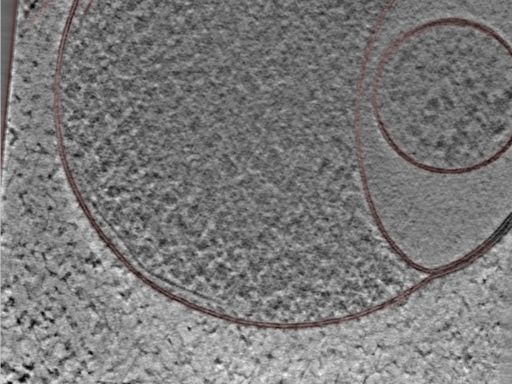 key visualization for 24nov27a_Position_96