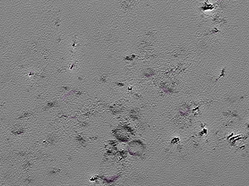 key visualization for tomogram_099