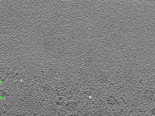 key visualization for tomogram_110