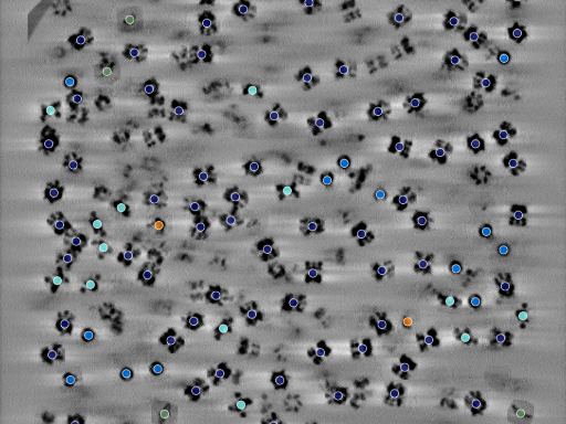 key visualization for CryoLens - simulated training data