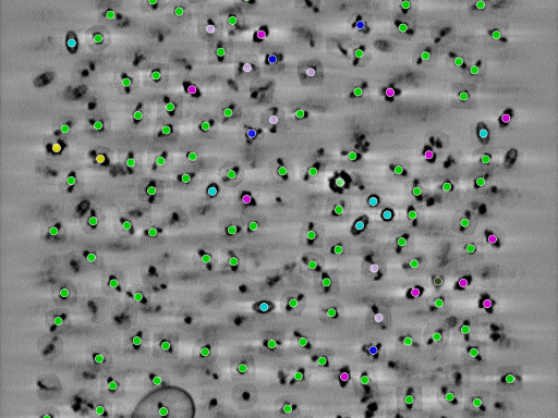 key visualization for seed1001555270-20250904-075309