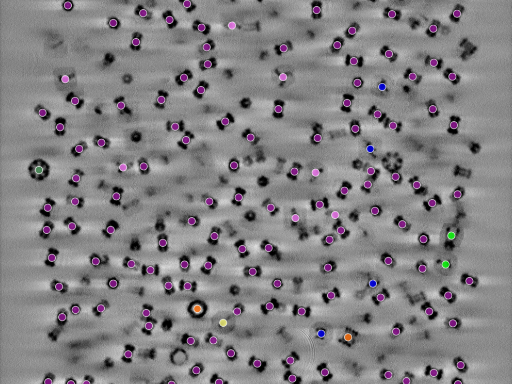 key visualization for seed100187965-20250905-185808