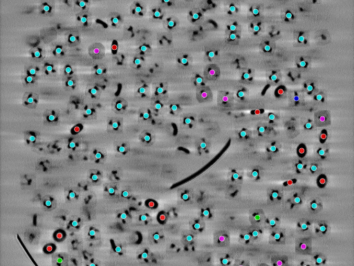 key visualization for seed1002937656-20250907-093250