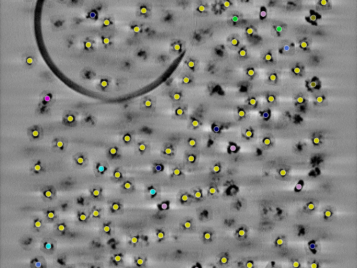 key visualization for seed1003424941-20250907-003748