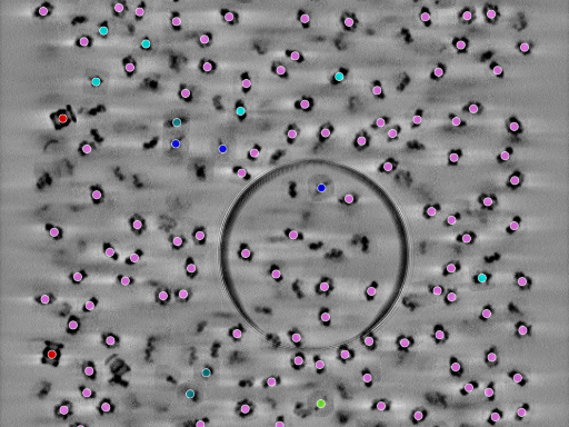 key visualization for seed1004182270-20250904-094153