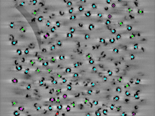 key visualization for seed1004584539-20250905-152546